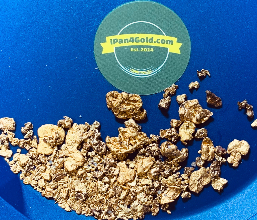 Guaranteed 4.4g of gold, includes 2 nuggets, 4lbs of paydirt - Motherlode Gold Paydirt