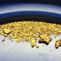 Guaranteed 12.6g of gold, including 4 nuggets, 12lbs of paydirt