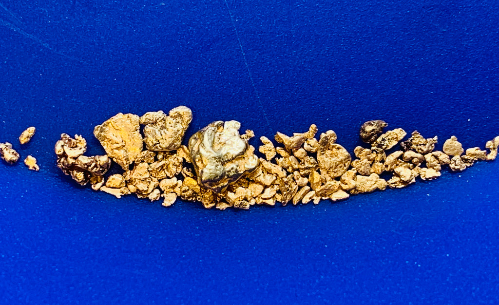 8+ grams of placer gold