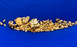 8+ grams of placer gold
