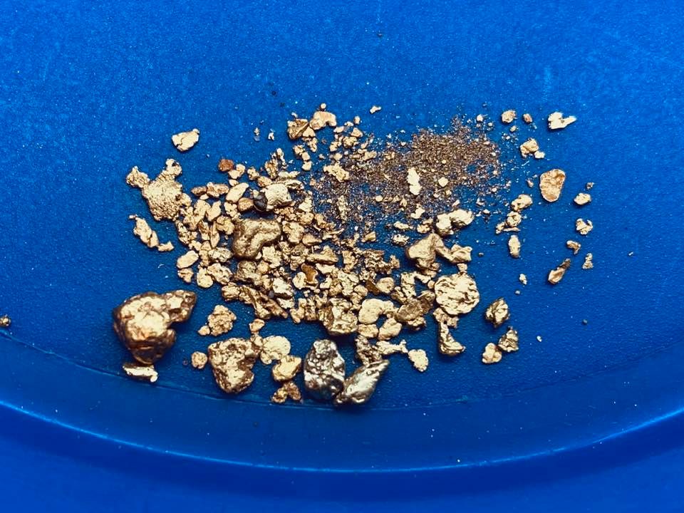 Guaranteed 1.2g of gold, 1lb paydirt shipment - Placer Dreams Gold Paydirt