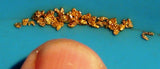 Add-on Item Only - Fine Gold by the 1/2 gram - 30 mesh and smaller will be added to your paydirt
